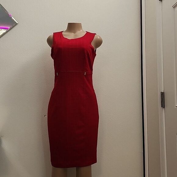 BRAND NEW STELLA &JULIE SLEEVELESS INVIBLE BACK ZIPPER ROUND NECK DRESS - Picture 10 of 16